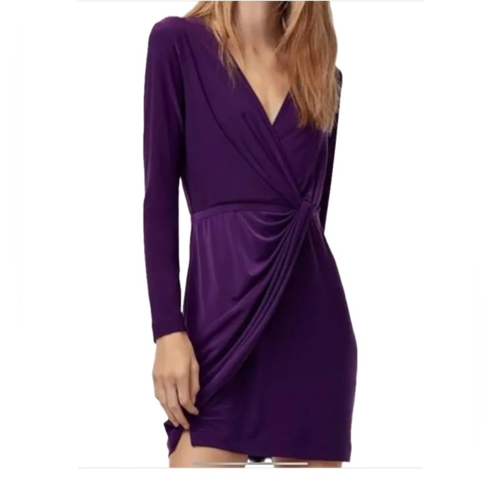 Aritzia Babaton Elegant Long Sleeve Dress